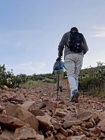 The Wild Trekking Club