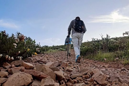 thewildtrekkingclub (1) The Wild Trekking Club