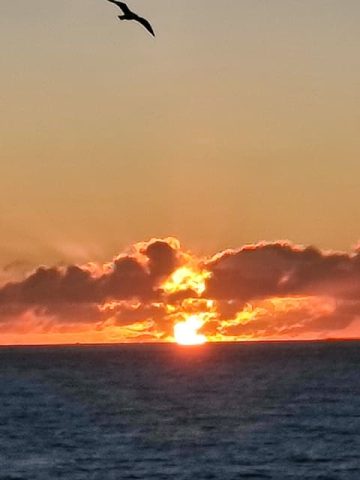 The Wild Trekking Club