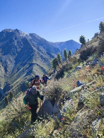 The Wild Trekking Club