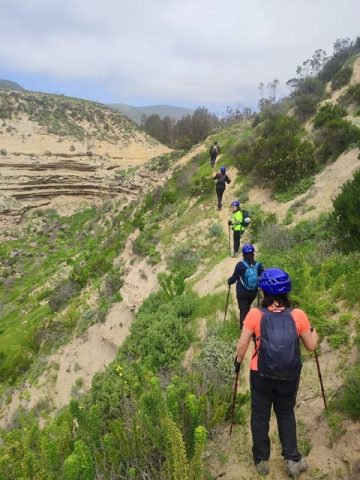The Wild Trekking Club