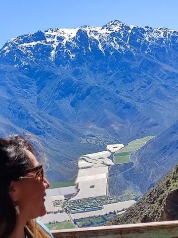 The Wild Trekking Club