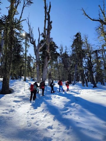 The Wild Trekking Club