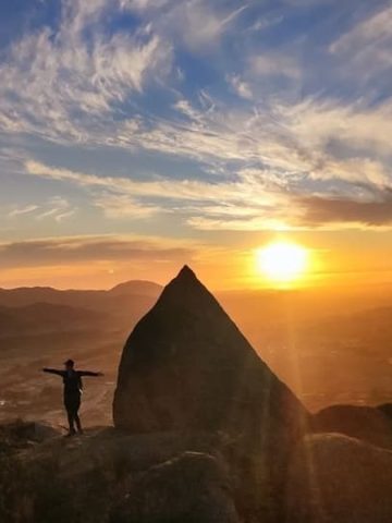 The Wild Trekking Club