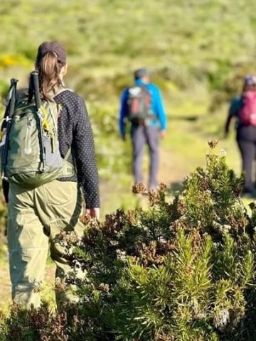 The Wild Trekking Club